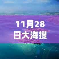11月28日扬帆大海搜索之旅,探寻内心宁静与自然奇迹的征途