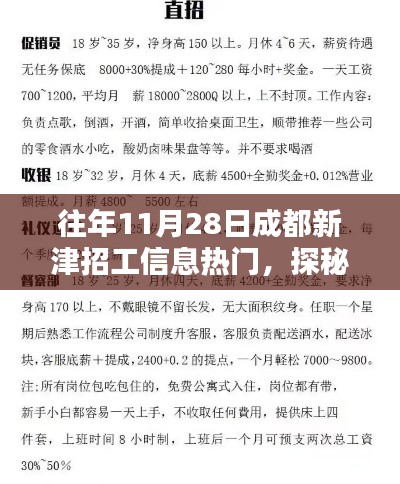 成都新津特色小店招工奇遇记,探寻小巷深处的隐藏人才与机遇