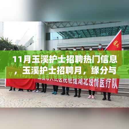玉溪护士招聘月,缘分与梦想的温馨相遇