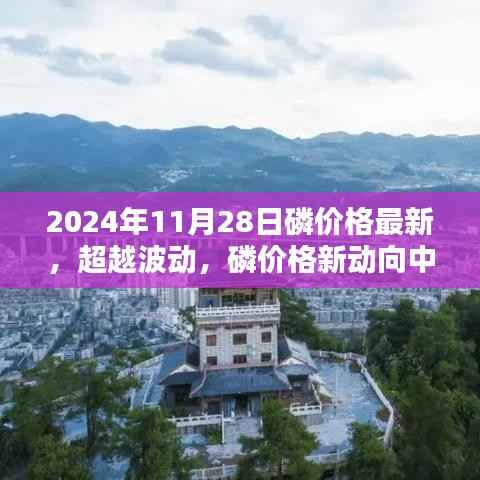 磷价格新动向背后的励志篇章与学习力量,超越波动,探寻市场趋势的启示
