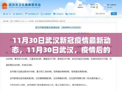 武汉疫情最新动态与疫后自然之旅,寻找心灵的宁静与平和