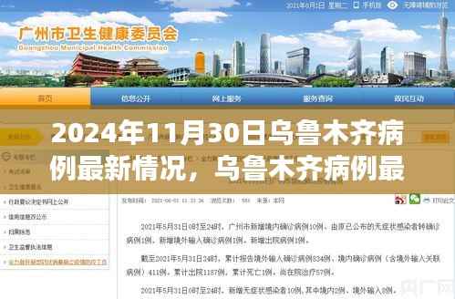 2024年11月30日乌鲁木齐病例最新情况及深度评测