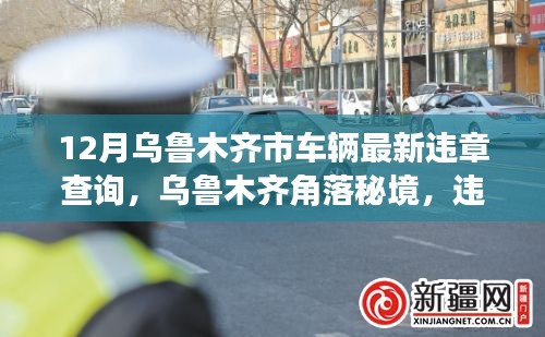 乌鲁木齐市车辆违章查询探秘,角落秘境与奇遇记
