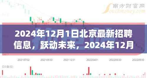 跃动未来,2024年12月1日北京最新招聘信息启航你的励志之旅