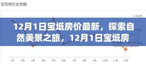 12月1日宝坻房价背后的宁静力量,自然美景之旅的最新探索
