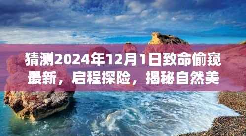 揭秘自然美景背后的秘密,探险启程,偷窥致命之美,探寻内心宁静乐园的未知之旅(2024年最新)
