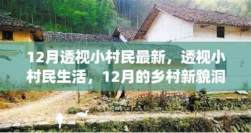 透视小村民生活,揭秘乡村新貌,洞察十二月乡村变迁