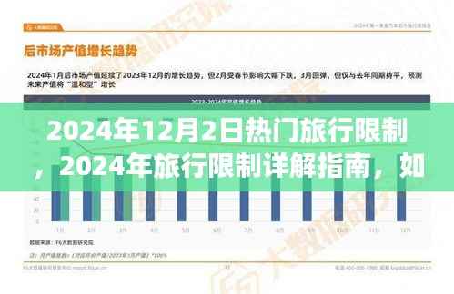 2024年旅行限制详解指南,顺利出行不受限