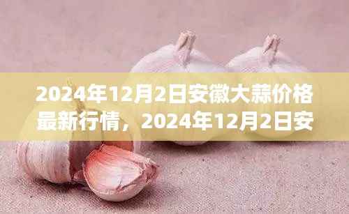 2024年12月安徽大蒜价格行情分析,市场走势、影响因素及未来预测
