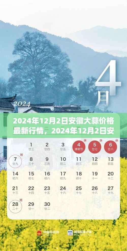 2024年12月安徽大蒜价格行情分析,市场走势、影响因素及未来预测