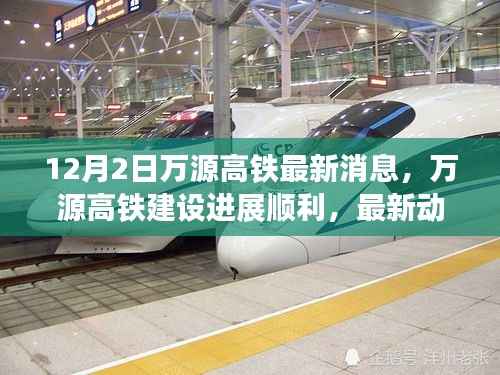 走马观花 第3页