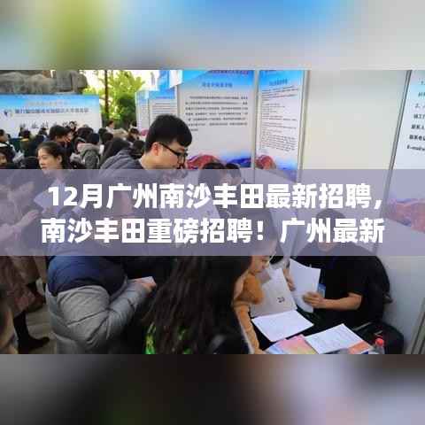 广州南沙丰田12月最新招聘热潮,职位速递,就业机会大放送