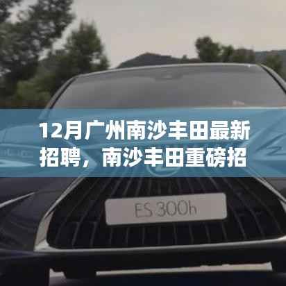广州南沙丰田12月最新招聘热潮,职位速递,就业机会大放送