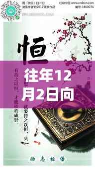 晚清墨司南热门章节深度解析,探秘、要点与往年回顾