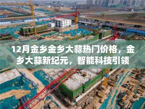 揭秘金乡大蒜新纪元,智能科技引领大蒜市场新风向,十二月热门价格的奇迹揭秘