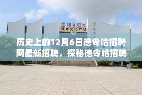德令哈招聘网,职场奇遇记,探寻最新招聘信息与小巷深处的特色小店