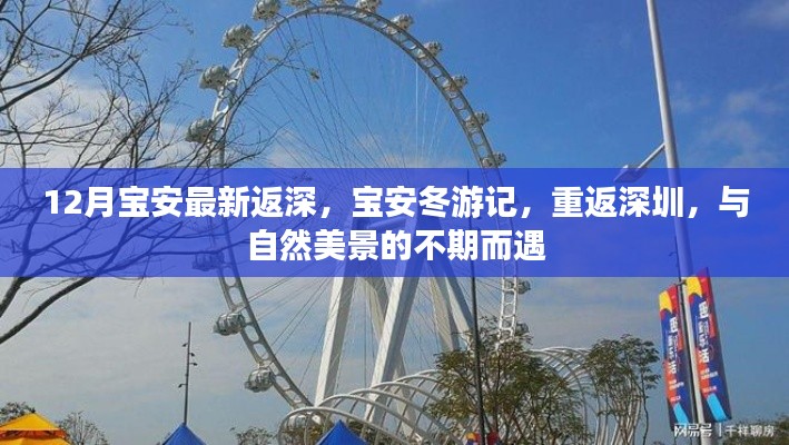 宝安冬游记,重返深圳,与自然美景的不期而遇