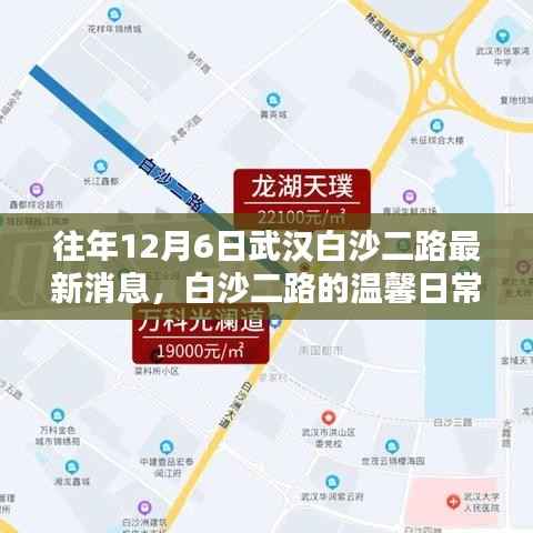 武汉白沙二路,温馨日常与惊喜相伴的12月6日最新消息