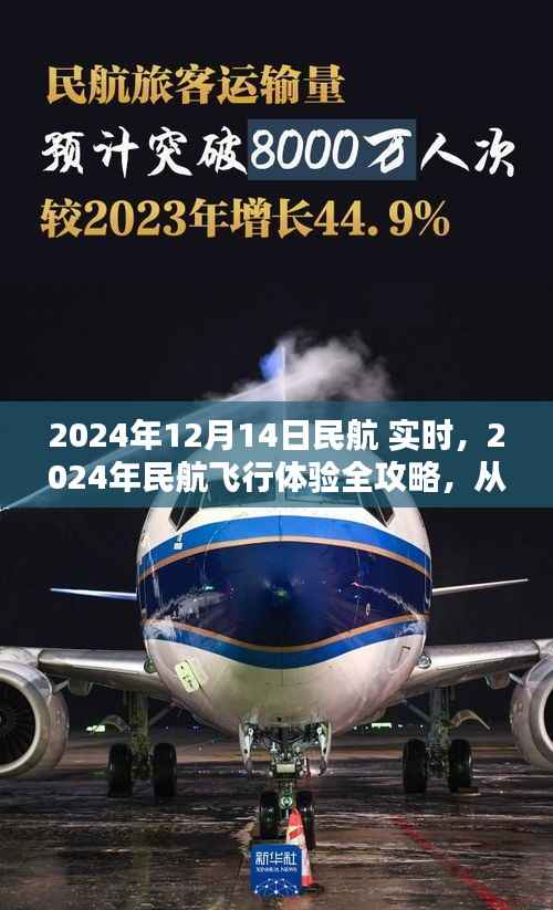 2024年民航飞行体验全攻略,从购票到登机实时步骤指南(适合初学者与进阶用户)