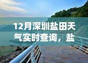 深圳盐田冬季天气实时查询,暖阳下的日常趣事与温情时光