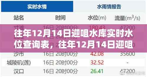 往年12月14日迎咀水库实时水位查询表及其制作指南概览