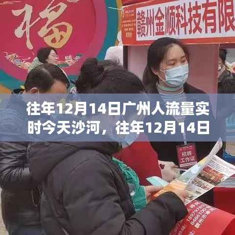 揭秘往年12月14日广州人流量与今日沙河拥挤状况回顾
