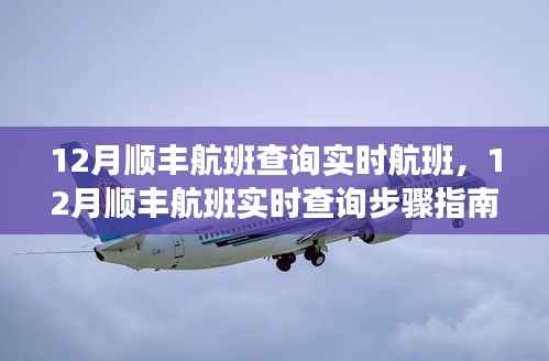 12月顺丰航班查询攻略,实时航班信息及查询步骤指南
