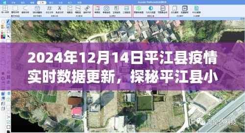 平江县疫情实时数据与小巷深处的独特风味,疫情之下的惊喜发现