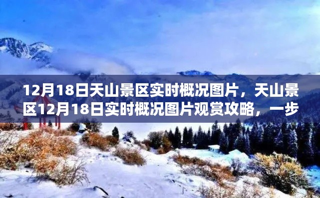 天山景区12月18日实时概况图片及观赏攻略,领略自然之美的绝佳旅程