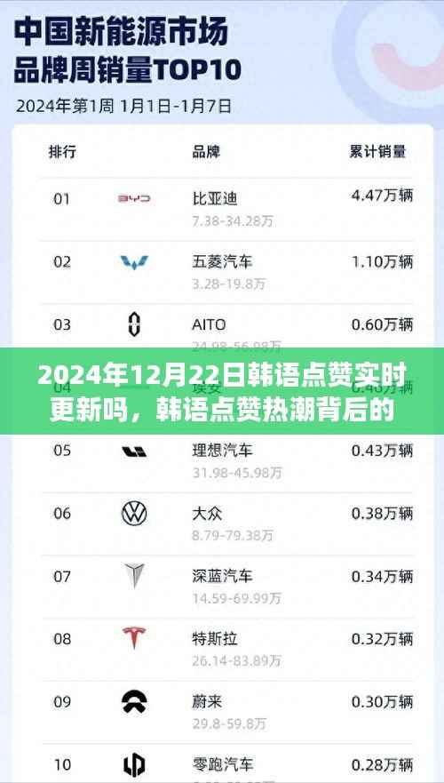 韩语点赞热潮背后的故事,实时更新与深远影响(以2024年12月22日为时间节点)