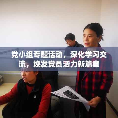 党小组专题活动,深化学习交流,焕发党员活力新篇章