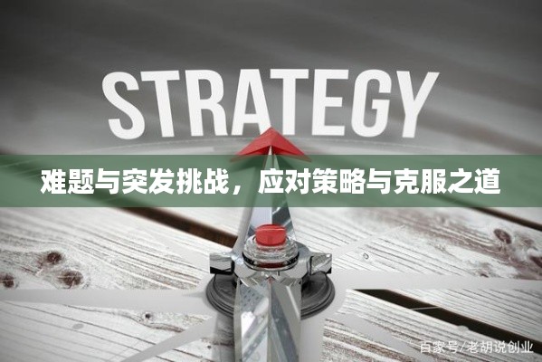 难题与突发挑战,应对策略与克服之道
