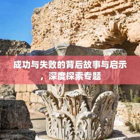 成功与失败的背后故事与启示,深度探索专题