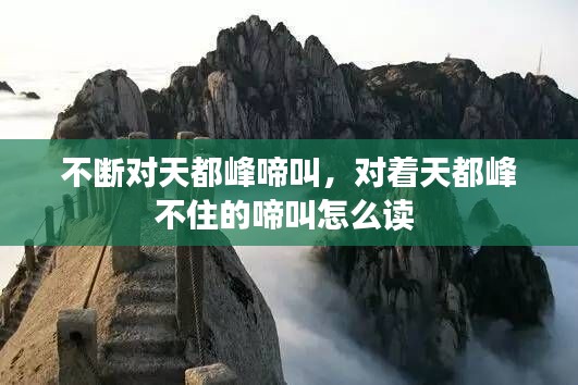 不断对天都峰啼叫,对着天都峰不住的啼叫怎么读