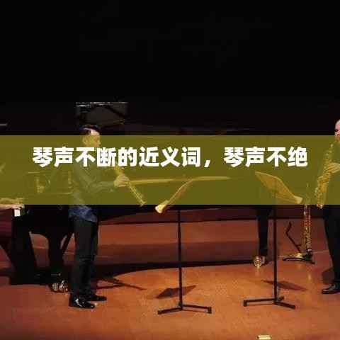 琴声不断的近义词,琴声不绝