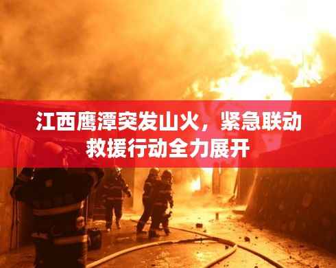 江西鹰潭突发山火,紧急联动救援行动全力展开