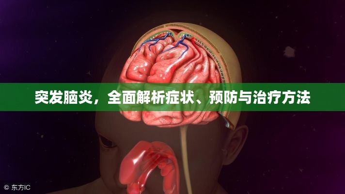 突发脑炎,全面解析症状、预防与治疗方法