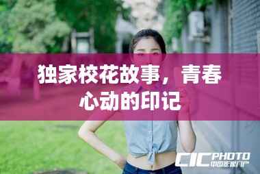 独家校花故事，青春心动的印记