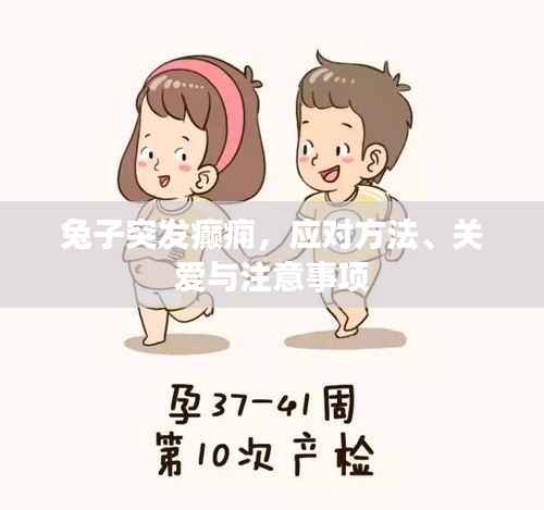 兔子突发癫痫,应对方法、关爱与注意事项