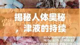 揭秘人体奥秘,津液的持续产生之源