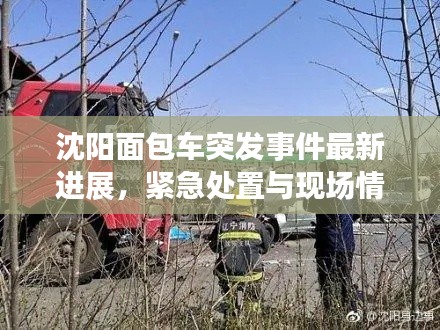 沈阳面包车突发事件最新进展,紧急处置与现场情况揭秘
