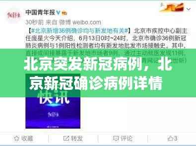北京突发新冠病例,北京新冠确诊病例详情