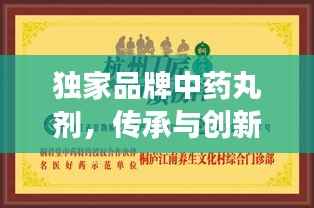 独家品牌中药丸剂，传承与创新融合，品质与健康同行
