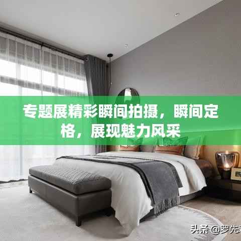 专题展精彩瞬间拍摄,瞬间定格,展现魅力风采