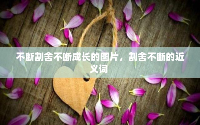 不断割舍不断成长的图片,割舍不断的近义词
