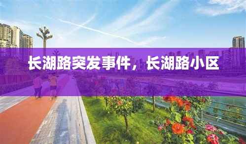 长湖路突发事件,长湖路小区