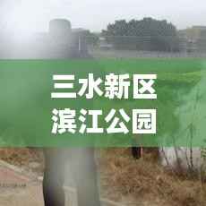 三水新区滨江公园规划重磅更新!最新动态揭秘!