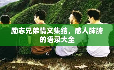 励志兄弟情义集结,感人肺腑的语录大全