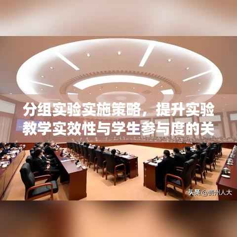 分组实验实施策略,提升实验教学实效性与学生参与度的关键