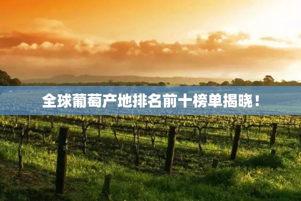 全球葡萄产地排名前十榜单揭晓!